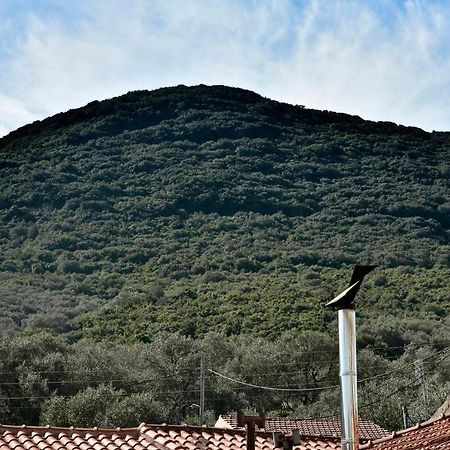 Sia'S Holiday Home Ágios Matthaíos المظهر الخارجي الصورة